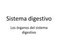 Sistema digestivo Los órganos del sistema digestivo.