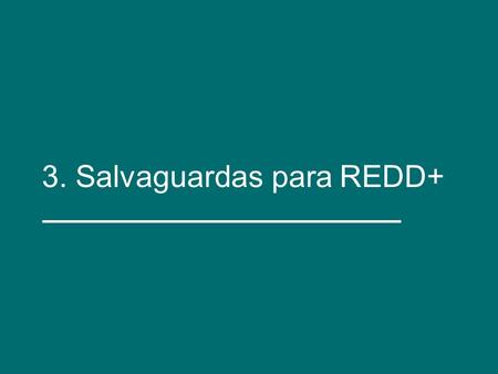 3. Salvaguardas para REDD+. Actividad Identificación de riesgos y oportunidades de REDD+ RiesgosOportunidades Borrador kit de capacitación - Febrero 2014.