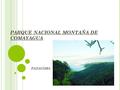 PARQUE NACIONAL MONTAÑA DE COMAYAGUA