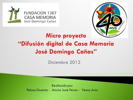 Diciembre 2012 Realizado por Pelusa Doeintz - Maria José Perez - Yenny Aros.