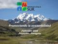 Promoviendo la sostenibilidad FOROMIC 2008 Asunción - Paraguay.