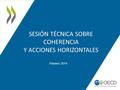 SESIÓN TÉCNICA SOBRE COHERENCIA Y ACCIONES HORIZONTALES Febrero 2014.