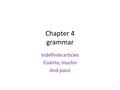 Chapter 4 grammar Indefinite articles Cuánto, mucho And poco 1.