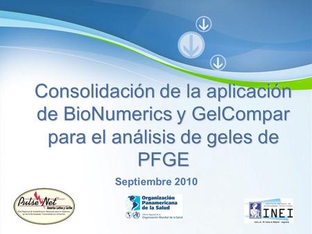 Page 1 Consolidación de la aplicación de BioNumerics y GelCompar para el análisis de geles de PFGE Septiembre 2010.