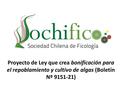 Proyecto de Ley que crea bonificación para el repoblamiento y cultivo de algas (Boletín Nº 9151-21)