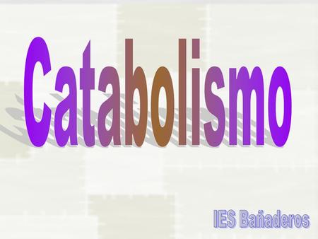 Catabolismo IES Bañaderos.