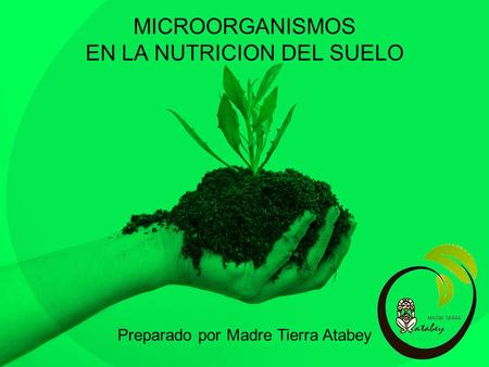 MICROORGANISMOS EN LA NUTRICION DEL SUELO