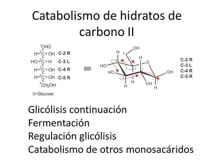 Catabolismo de hidratos de carbono II