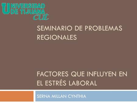 SEMINARIO DE PROBLEMAS REGIONALES FACTORES QUE INFLUYEN EN EL ESTRÉS LABORAL SERNA MILLAN CYNTHIA.