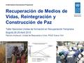 Recuperación de Medios de Vidas, Reintegración y Construcción de Paz Taller Naciones Unidas de formación en Recuperación Temprana Bogotá 28-29 Abril 2015.