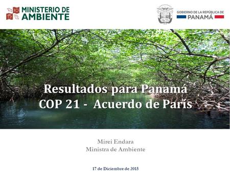 Mirei Endara Ministra de Ambiente 17 de Diciembre de 2015 Resultados para Panamá COP 21 - Acuerdo de París.