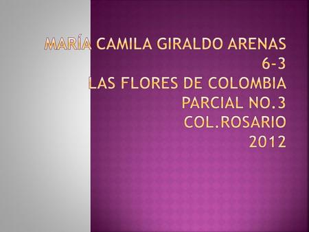  La flor es un brote de crecimiento limitado que está especializado en funciones reproductoras; es un órgano del cormo esporofítico que genera esporangios.
