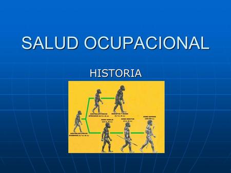 SALUD OCUPACIONAL HISTORIA. I.I. ANDRES AMARÍS ALZATE PRE - HISTORIA Protección Peligros - Adversidades.