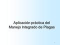 1 Aplicación práctica del Manejo Integrado de Plagas.