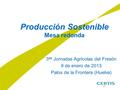 Producción Sostenible Mesa redonda 3 as Jornadas Agrícolas del Fresón 9 de enero de 2013 Palos de la Frontera (Huelva)