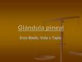Glándula pineal Enzo Basile, Viola y Tapia.. Características principales Está situada en el techo del diencéfalo, entre los tubérculos cuadrigéminos craneales,