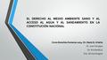 EL DERECHO AL MEDIO AMBIENTE SANO Y AL ACCESO AL AGUA Y AL SANEAMIENTO EN LA CONSTITUCIÓN NACIONAL Curso Derechos Humanos 2014. Dr. Daoiz G. Uriarte Dr.