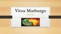 Virus Marburgo Marburgo Marburgo 1. INDICE QUE ES?........... PAG 3 LA EPIDEMIO EN ANGOLA……… PAG 4 REPILACION VIRAL……… PAG 6 DIAGNOSTICO……… PAG 7 TERAPIA……..