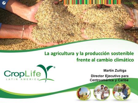 Abril 2013 La agricultura y la producción sostenible frente al cambio climático Martín Zuñiga Director Ejecutivo para Centroamérica y Caribe.