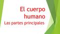 Las partes principales