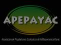 El mango de la APEPAYAC Articulados al mercado de exportación Jornadas de Negocios Cajamarca 2005 22 de julio de 2005.