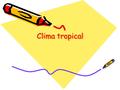Clima tropical. Ubicación Vegetación Tres tipos de formaciones vegetales en función de la cantidad de lluvias. Este orden va de mayor a menor cantidad.