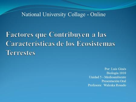 National University Collage - Online