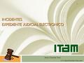 INCIDENTES EXPEDIENTE JUDICIAL ELECTRONICO 1 Jean Claude Tron www.jeanclaude.tronp.com.