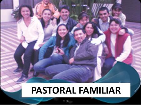 PASTORAL FAMILIAR. ¿Qué se ha hecho? La formación recibida por parte del delegado de la pastoral familiar diocesana en los temas de la Misión El interés.