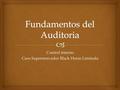 Control interno Caso Supermercados Black Horse Limitada.