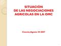 1 1 SITUACIÓN DE LAS NEGOCIACIONES AGRICOLAS EN LA OMC Concón, Agosto 30 2007.