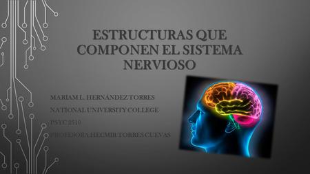 Estructuras que componen el sistema nervioso