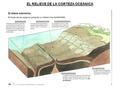 EL RELIEVE DE LA CORTEZA OCEÁNICA