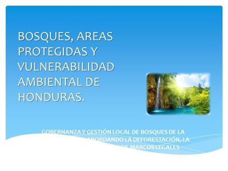 BOSQUES, AREAS PROTEGIDAS Y VULNERABILIDAD AMBIENTAL DE HONDURAS. GOBERNANZA Y GESTIÓN LOCAL DE BOSQUES DE LA REGIÓN TRIFINIO: ABORDANDO LA DEFORESTACIÓN,