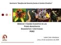 D ERECHO Y C AMBIO C LIMÁTICO EN LOS P AÍSES A MAZÓNICOS D IAGNÓSTICO Y EFECTIVIDAD : PERÚ Isabel Calle Valladares Lima, 19 de noviembre de 2009 Seminario.
