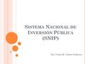 S ISTEMA N ACIONAL DE I NVERSIÓN P ÚBLICA (SNIP) Lic. César R. Castro Galarza.