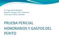Dr. Hugo Daniel Blengino Derecho Procesal Civil y Comercial Curso para Peritos Judiciales PRUEBA PERICIAL HONORARIOS Y GASTOS DEL PERITO.