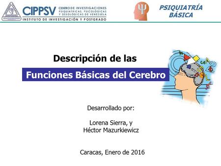 Funciones Básicas del Cerebro