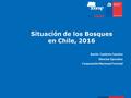 Situación de los Bosques en Chile, 2016