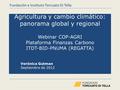 Agricultura y cambio climático: panorama global y regional Webinar COP-AGRI Plataforma Finanzas Carbono ITDT-BID-PNUMA (REGATTA) Verónica Gutman Septiembre.