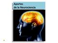 Aportes de la Neurociencia Aportes. NEOCORTEZA: a) Hemisferio Derecho b) Hemisferio Izquierdo LÍMBICO: Emociones, miedos, afectos, motivaciones. BÁSICO.