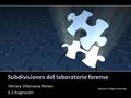 Subdivisiones del laboratorio forense Vilmary Villanueva Nieves 6.1 Asignación National College Universitye University nterMedia.