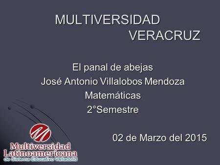 MULTIVERSIDAD VERACRUZ El panal de abejas José Antonio Villalobos Mendoza Matemáticas2°Semestre 02 de Marzo del 2015.