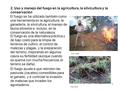 1 El fuego se ha utilizado también como una herramienta en la agricultura, la ganadería, la silvicultura, el manejo de fauna silvestre e, incluso, en la.