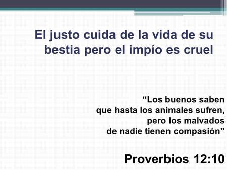 El justo cuida de la vida de su bestia pero el impío es cruel “Los buenos saben que hasta los animales sufren, pero los malvados de nadie tienen compasión”