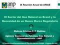 El Sector del Gas Natural en Brasil y la Necesidad de un Nuevo Marco Regulatorio Melissa Cristina P. P. Mathias Agência Nacional do Petróleo, Gás Natural.