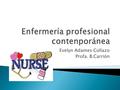 Evelyn Adames Collazo Profa. B.Carrión.  Se analizan las áreas de desempeño profesional de enfermería y lo que aquellas representan para el desarrollo.
