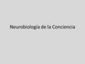 Neurobiología de la Conciencia. Antecedentes filosóficos Aristóteles Descartes.