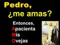 ¿me amas? Entonces, Apacienta Mis Ovejas La Liturgia nos convida a reflexionar hoy sobre la IGLESIA: la Comunidad que tiene la misión de testimoniar.