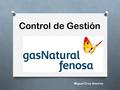 Control de Gestión Miguel Cruz Amores. Gas Natural Fenosa es un grupo multinacional líder en el sector energético, pionero en la integración del gas y.